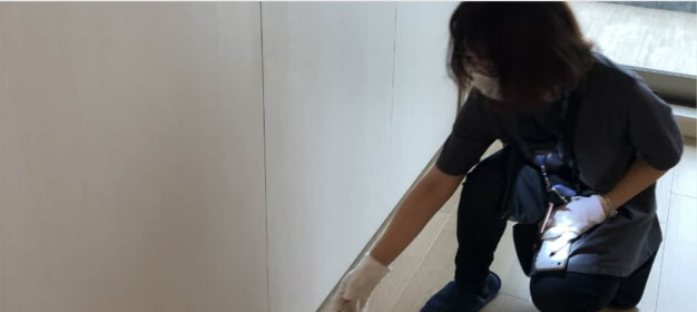 表面上の不具合をすみずみまでチェック